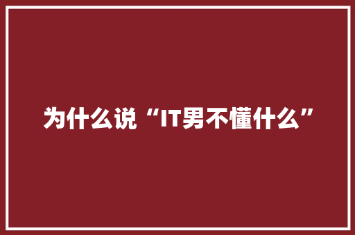为什么说“IT男不懂什么” 神马SEO