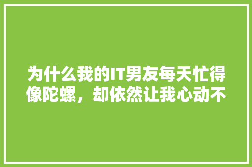 为什么我的IT男友每天忙得像陀螺，却依然让我心动不已！ 必应SEO