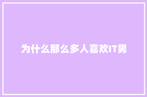 为什么那么多人喜欢IT男 百度SEO