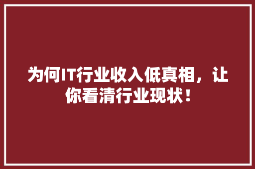为何IT行业收入低真相，让你看清行业现状！ 神马SEO