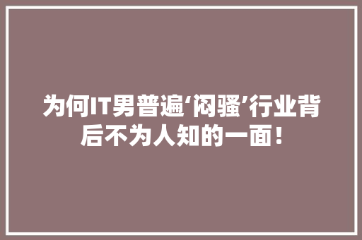 为何IT男普遍‘闷骚’行业背后不为人知的一面！ 必应SEO