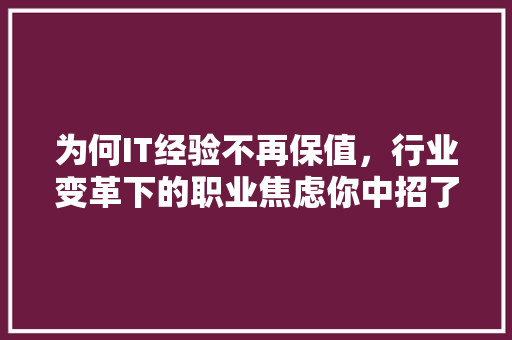 为何IT经验不再保值，行业变革下的职业焦虑你中招了吗 必应SEO