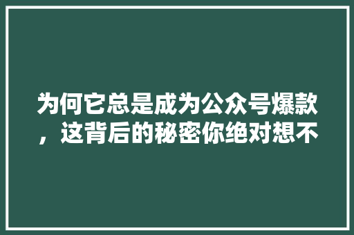 为何它总是成为公众号爆款，这背后的秘密你绝对想不到！ 搜狗SEO