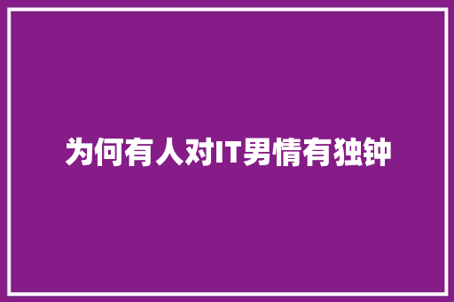 为何有人对IT男情有独钟 SEO关键词