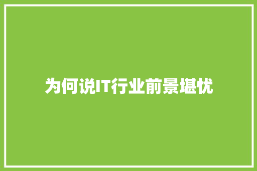 为何说IT行业前景堪忧 百度SEO