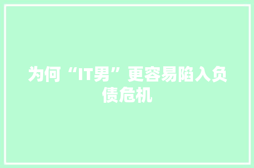 为何“IT男”更容易陷入负债危机 必应SEO