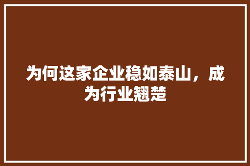 为何这家企业稳如泰山，成为行业翘楚 SEO关键词