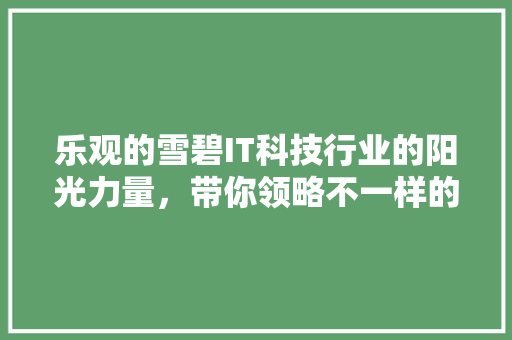 乐观的雪碧IT科技行业的阳光力量，带你领略不一样的IT风采 百度SEO