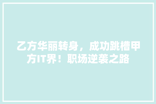 乙方华丽转身，成功跳槽甲方IT界！职场逆袭之路 网站建设公司