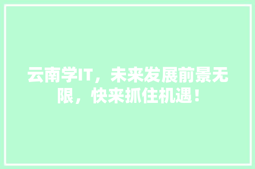 云南学IT，未来发展前景无限，快来抓住机遇！ 网站建设公司
