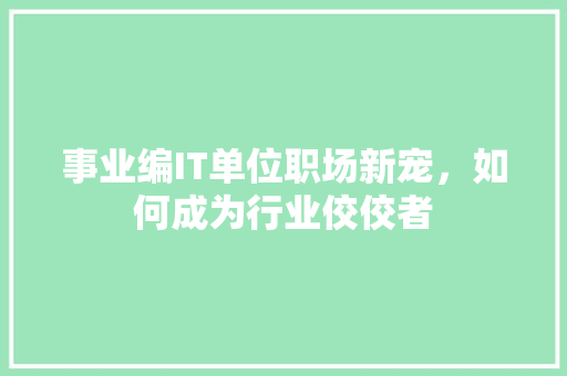 事业编IT单位职场新宠，如何成为行业佼佼者 必应SEO