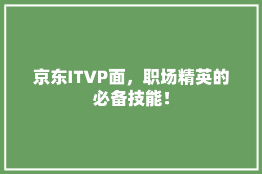 京东ITVP面，职场精英的必备技能！ 必应SEO