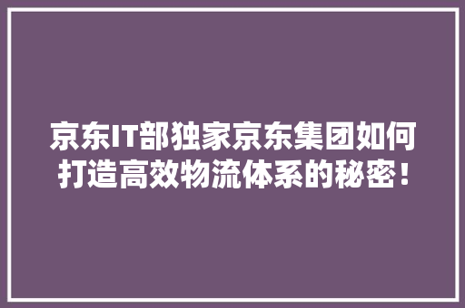 京东IT部独家京东集团如何打造高效物流体系的秘密！ 神马SEO