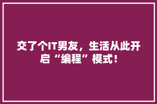 交了个IT男友，生活从此开启“编程”模式！ 必应SEO