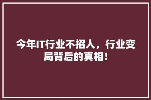 今年IT行业不招人，行业变局背后的真相！ SEO关键词