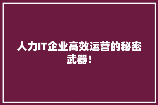 人力IT企业高效运营的秘密武器！ 必应SEO