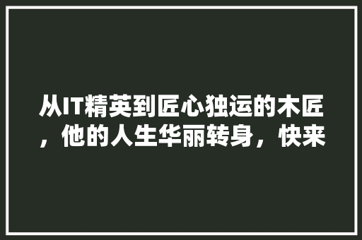 从IT精英到匠心独运的木匠，他的人生华丽转身，快来一起见证！ 必应SEO