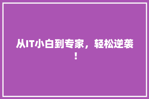 从IT小白到专家，轻松逆袭！ 网站建设公司