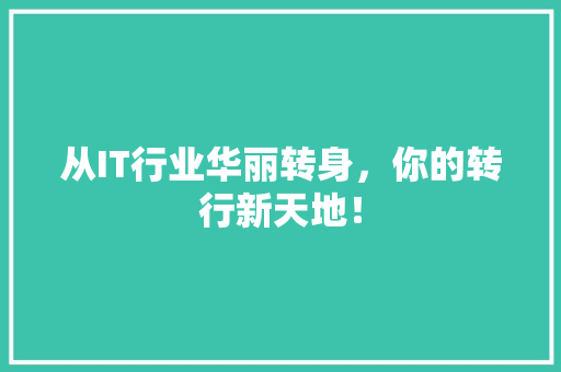 从IT行业华丽转身，你的转行新天地！ 百度SEO