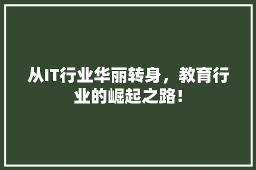 从IT行业华丽转身，教育行业的崛起之路！ SEO关键词