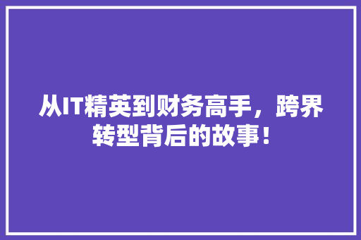 从IT精英到财务高手，跨界转型背后的故事！ 网站建设公司