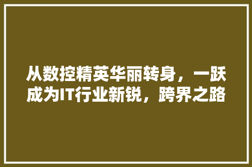 从数控精英华丽转身，一跃成为IT行业新锐，跨界之路！ 网站建设公司