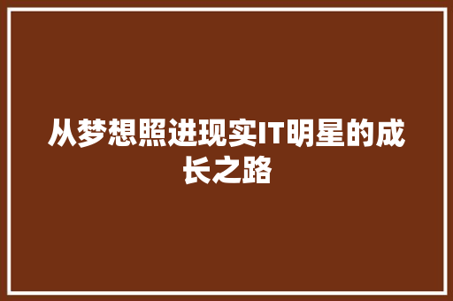 从梦想照进现实IT明星的成长之路 SEO关键词