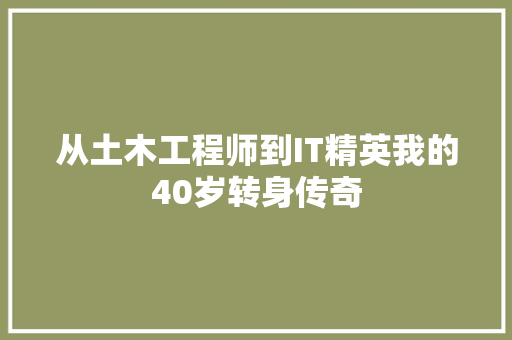 从土木工程师到IT精英我的40岁转身传奇 SEO关键词
