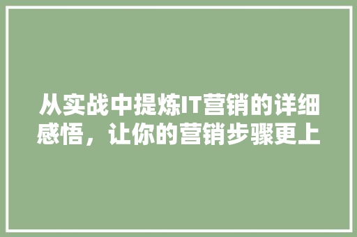 从实战中提炼IT营销的详细感悟，让你的营销步骤更上一层楼！ 神马SEO