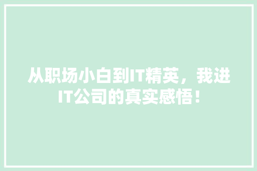 从职场小白到IT精英，我进IT公司的真实感悟！ 搜狗SEO