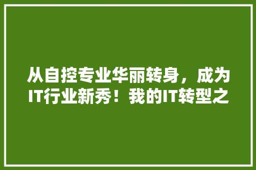 从自控专业华丽转身，成为IT行业新秀！我的IT转型之路！