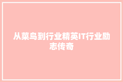 从菜鸟到行业精英IT行业励志传奇 网站建设公司