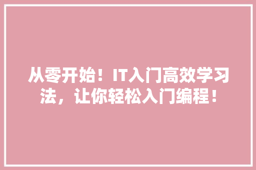 从零开始！IT入门高效学习法，让你轻松入门编程！ 百度SEO
