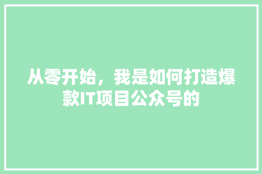 从零开始，我是如何打造爆款IT项目公众号的 百度SEO