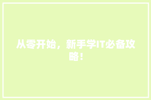 从零开始，新手学IT必备攻略！ 百度SEO