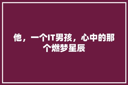 他，一个IT男孩，心中的那个燃梦星辰 搜狗SEO
