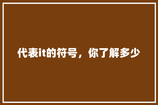 代表it的符号，你了解多少 百度SEO