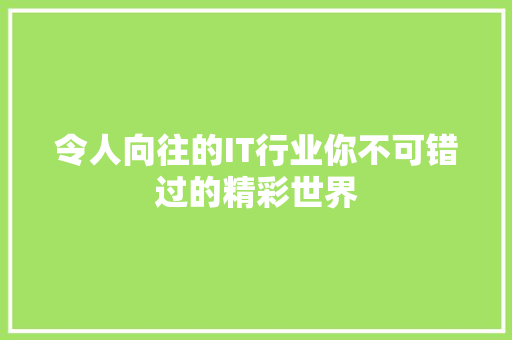 令人向往的IT行业你不可错过的精彩世界 网站建设公司