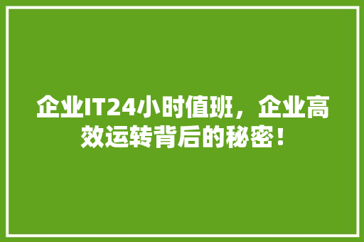 企业IT24小时值班，企业高效运转背后的秘密！ 必应SEO