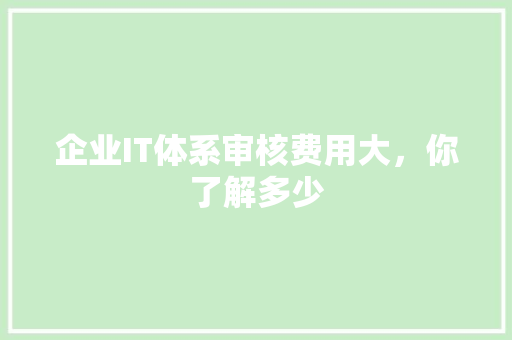 企业IT体系审核费用大，你了解多少 百度SEO