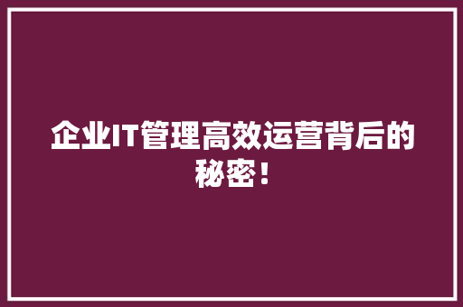企业IT管理高效运营背后的秘密！ SEO关键词