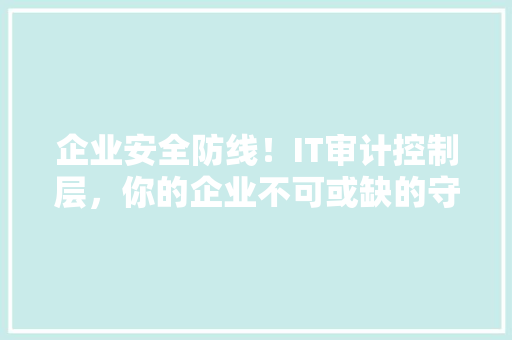 企业安全防线！IT审计控制层，你的企业不可或缺的守护者 网站建设公司