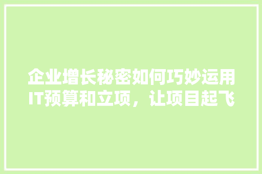 企业增长秘密如何巧妙运用IT预算和立项，让项目起飞！ 百度SEO