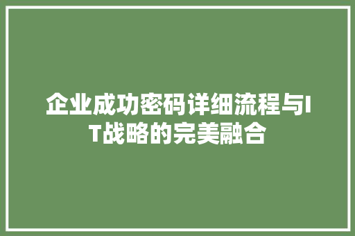 企业成功密码详细流程与IT战略的完美融合 网站建设公司