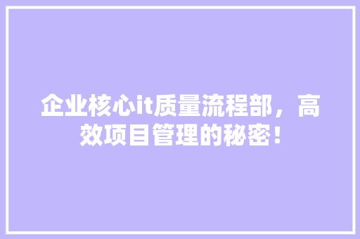 企业核心it质量流程部，高效项目管理的秘密！ 必应SEO
