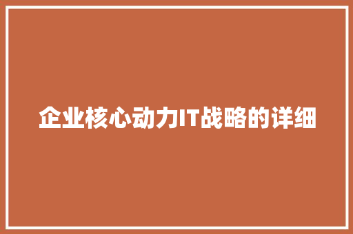 企业核心动力IT战略的详细 必应SEO
