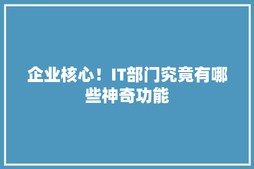 企业核心！IT部门究竟有哪些神奇功能 SEO关键词