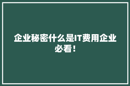 企业秘密什么是IT费用企业必看！ 必应SEO