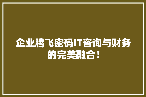 企业腾飞密码IT咨询与财务的完美融合！ SEO关键词