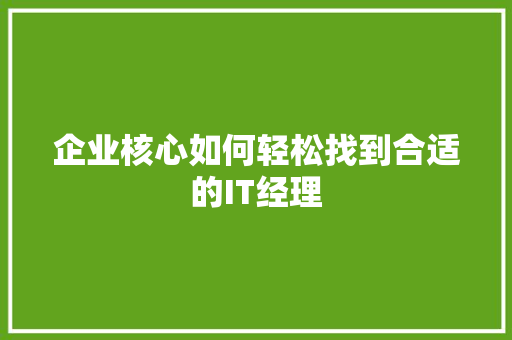 企业核心如何轻松找到合适的IT经理 SEO关键词